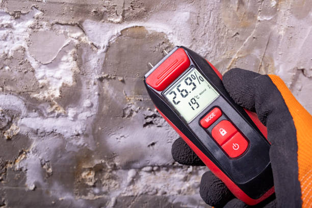 Best Commercial Mold Removal  in Osceola, MO