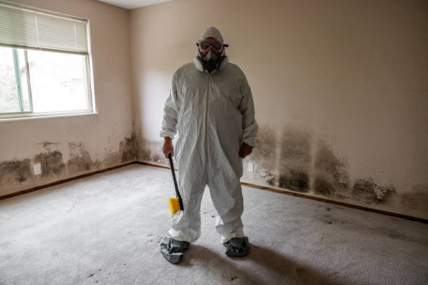 Best Office Mold Removal Services  in Osceola, MO